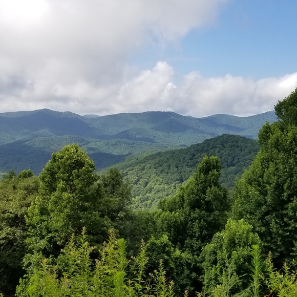 Meet your Posher, Laurie - Picture 1 of 1